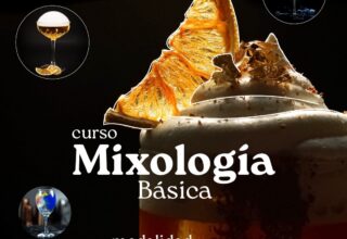 CURSO DE MIXOLOGÍA + KIT DE MIXOLOGÍA